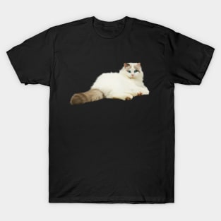 Ragdoll Cat, Love Ragdoll Cats, Cat Lover T-Shirt